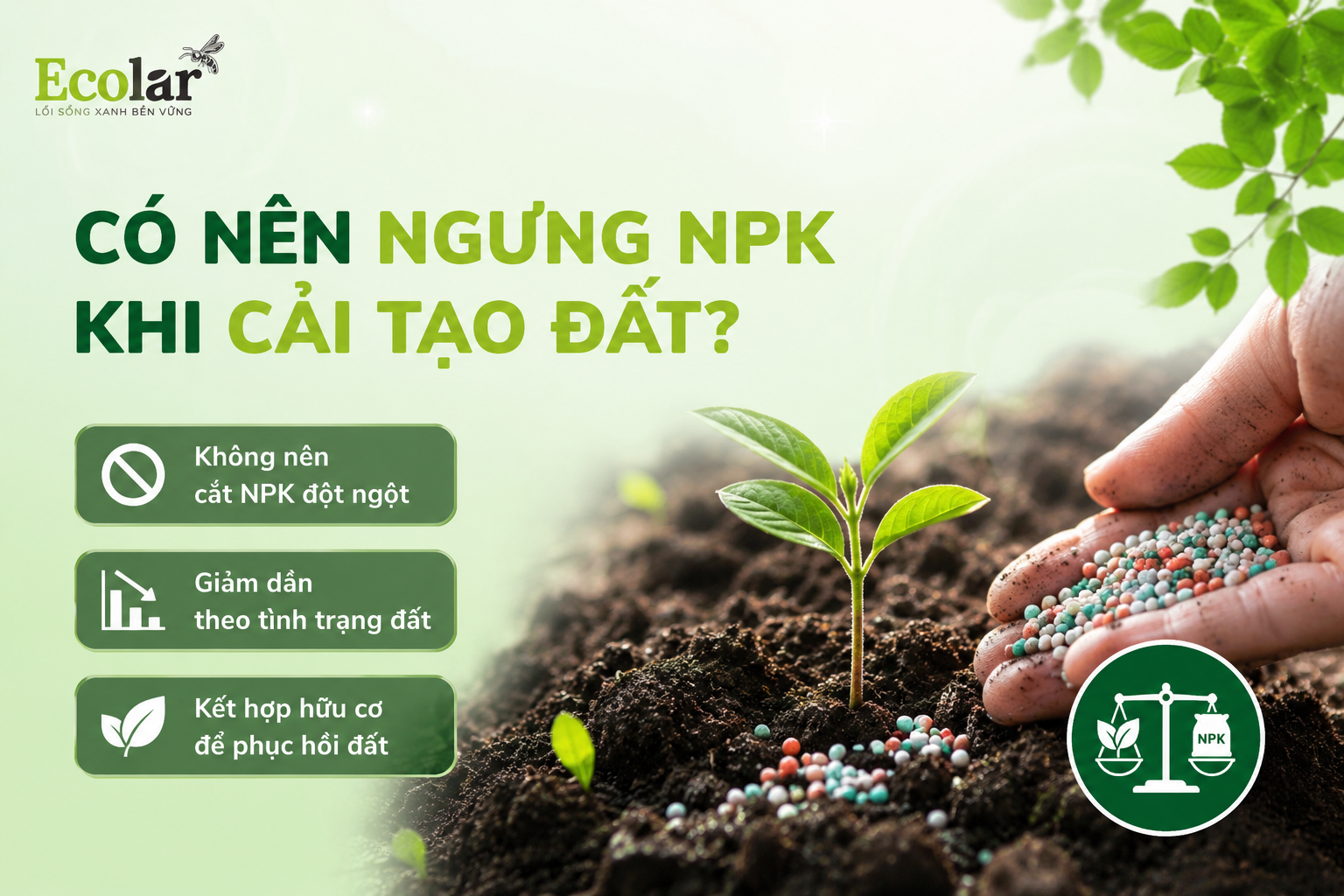 Có Nên Ngưng NPK Khi Cải Tạo Đất? Chiến Lược Đúng Chuẩn
