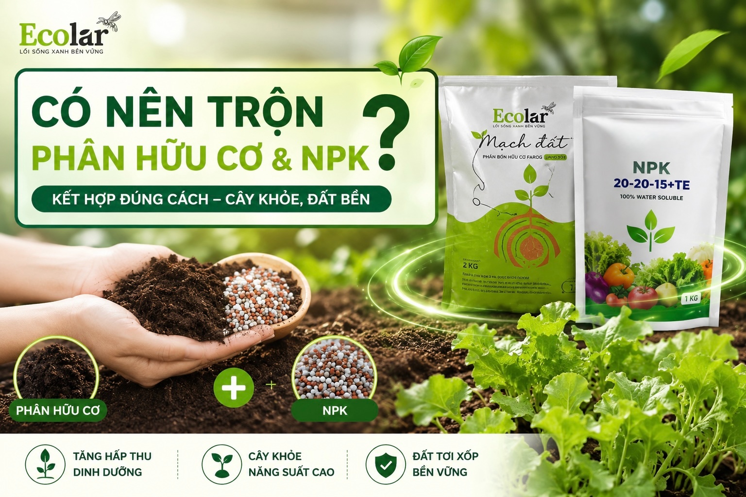 Có Nên Trộn Phân Hữu Cơ Với NPK? Cách Kết Hợp Đúng