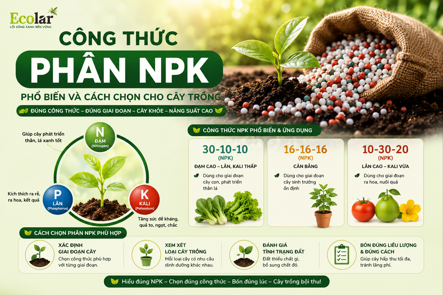 Công Thức Phân NPK Phổ Biến Và Cách Chọn Cho Cây Trồng
