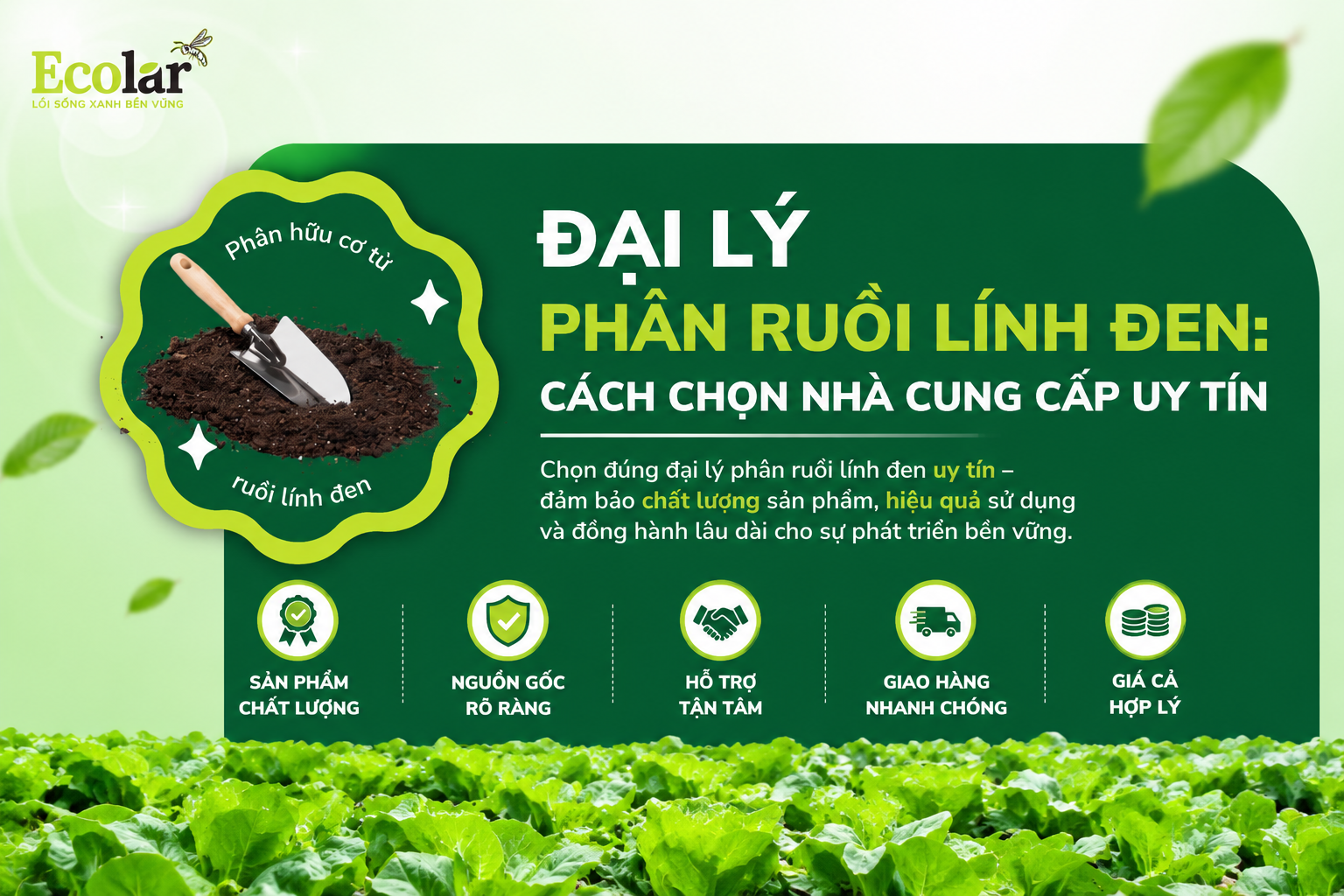 Đại Lý Phân Ruồi Lính Đen: Cách Chọn Nhà Cung Cấp Uy Tín