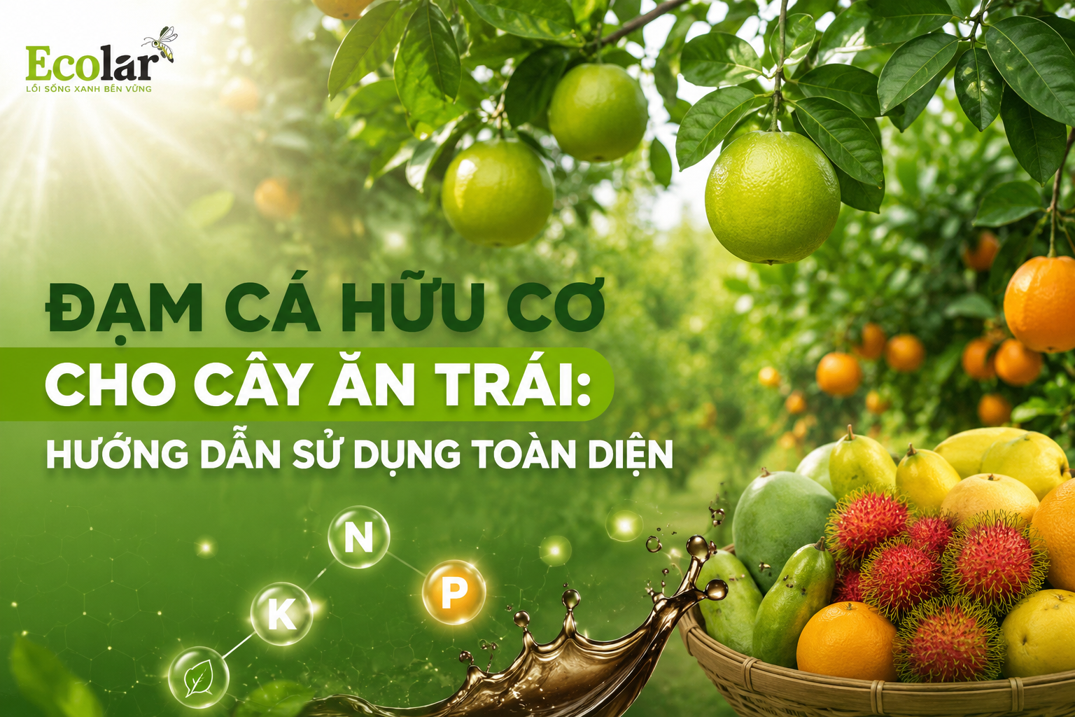 Đạm Cá Hữu Cơ Cho Cây Ăn Trái: Hướng Dẫn Sử Dụng Toàn Diện