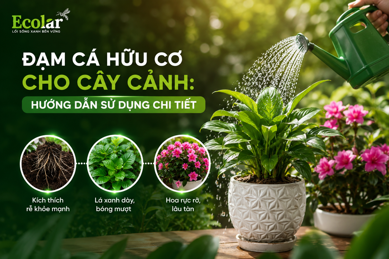 Đạm Cá Hữu Cơ Cho Cây Cảnh: Hướng Dẫn Sử Dụng Chi Tiết