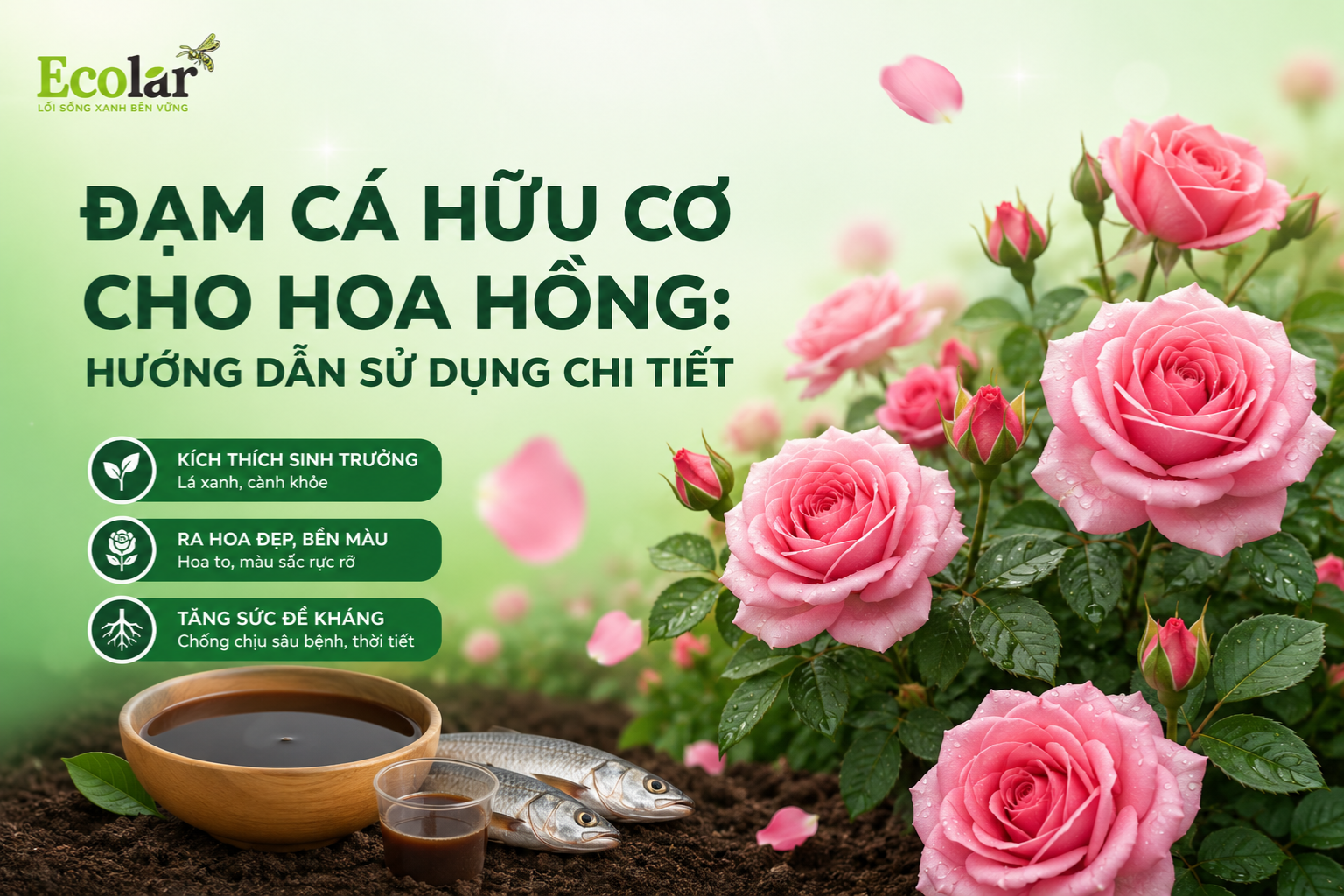 Đạm Cá Hữu Cơ Cho Hoa Hồng: Hướng Dẫn Sử Dụng Chi Tiết