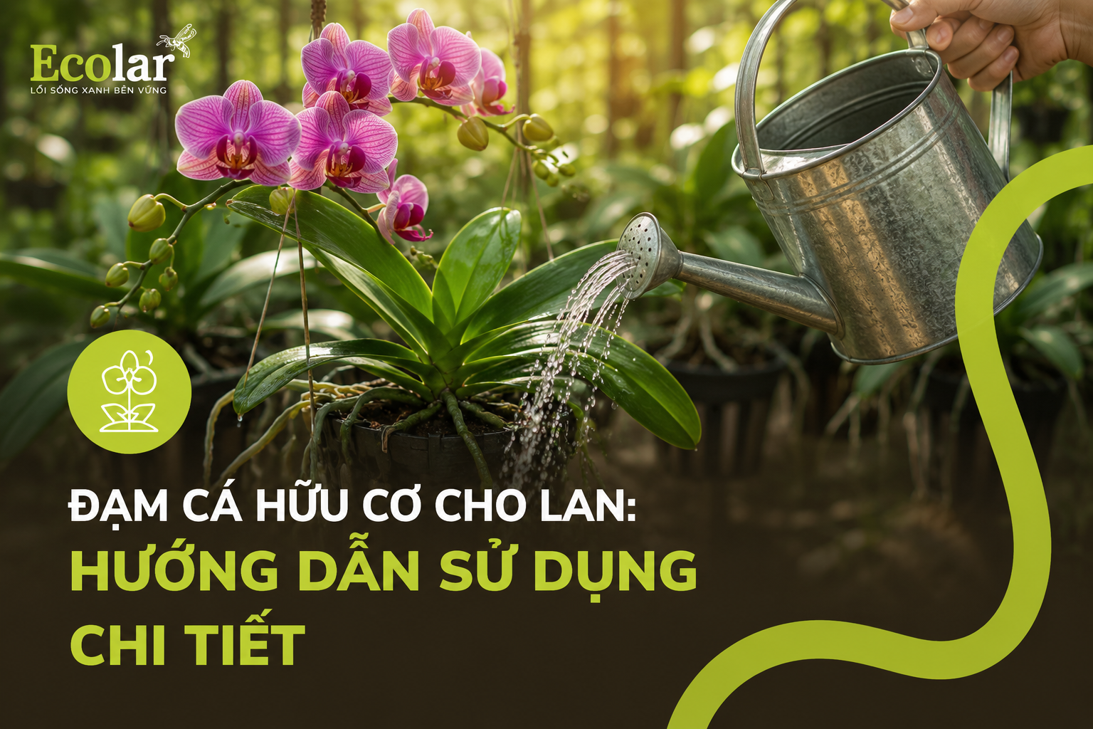 Đạm Cá Hữu Cơ Cho Lan: Hướng Dẫn Sử Dụng Chi Tiết