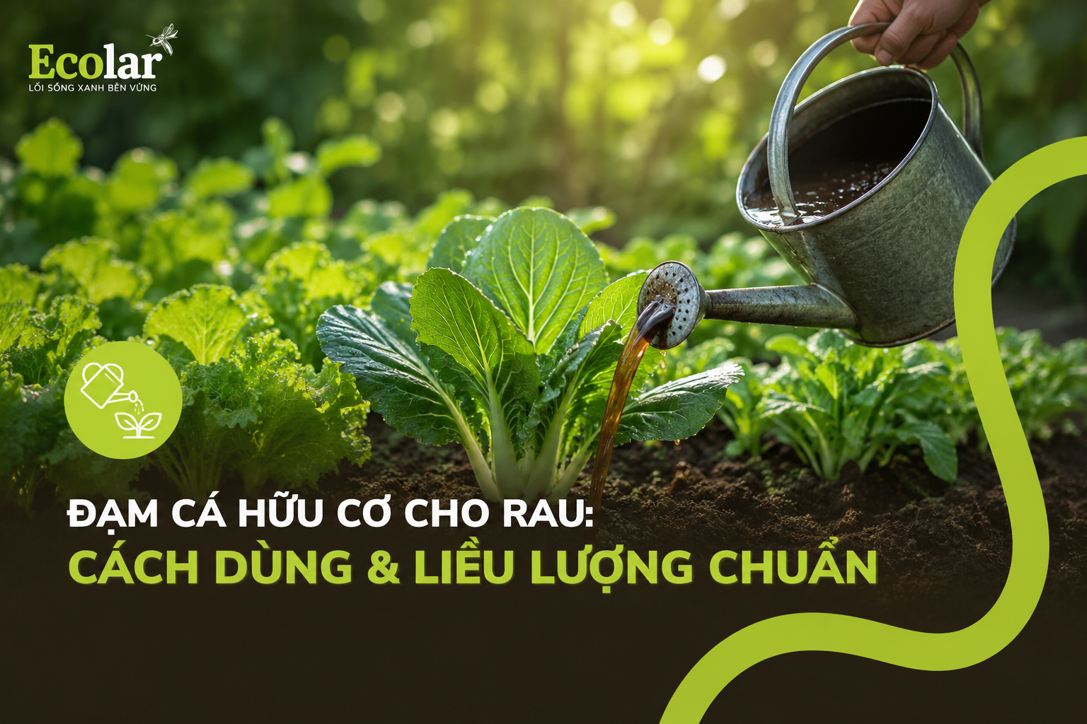 Đạm Cá Hữu Cơ Cho Rau: Cách Dùng & Liều Lượng Chuẩn