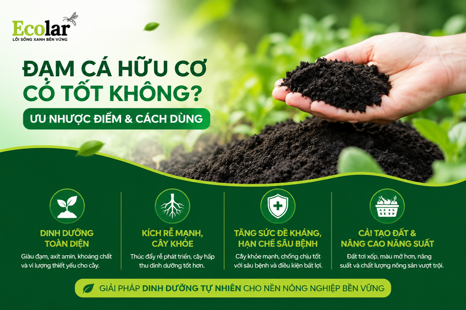 Đạm Cá Hữu Cơ Có Tốt Không? Ưu Nhược Điểm & Cách Dùng