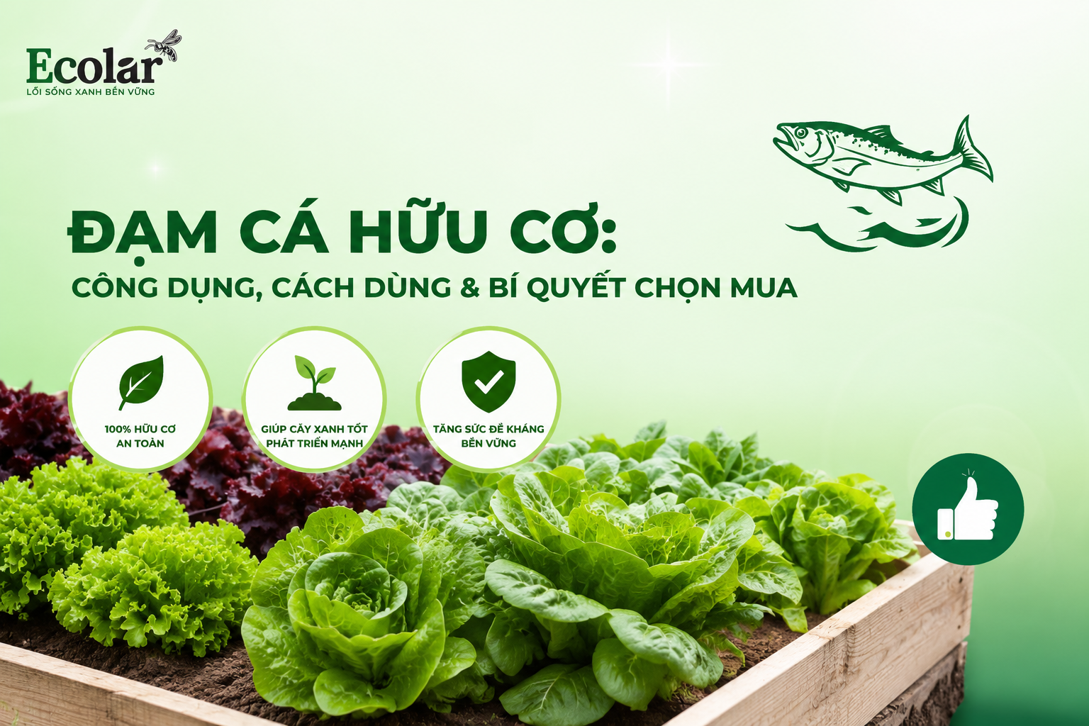 Đạm Cá Hữu Cơ: Công Dụng, Cách Dùng & Bí Quyết Chọn Mua