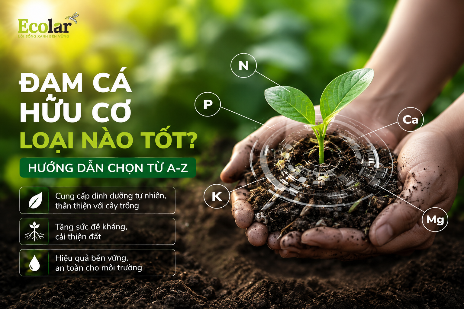 Đạm Cá Hữu Cơ Loại Nào Tốt? Hướng Dẫn Chọn Từ A-Z