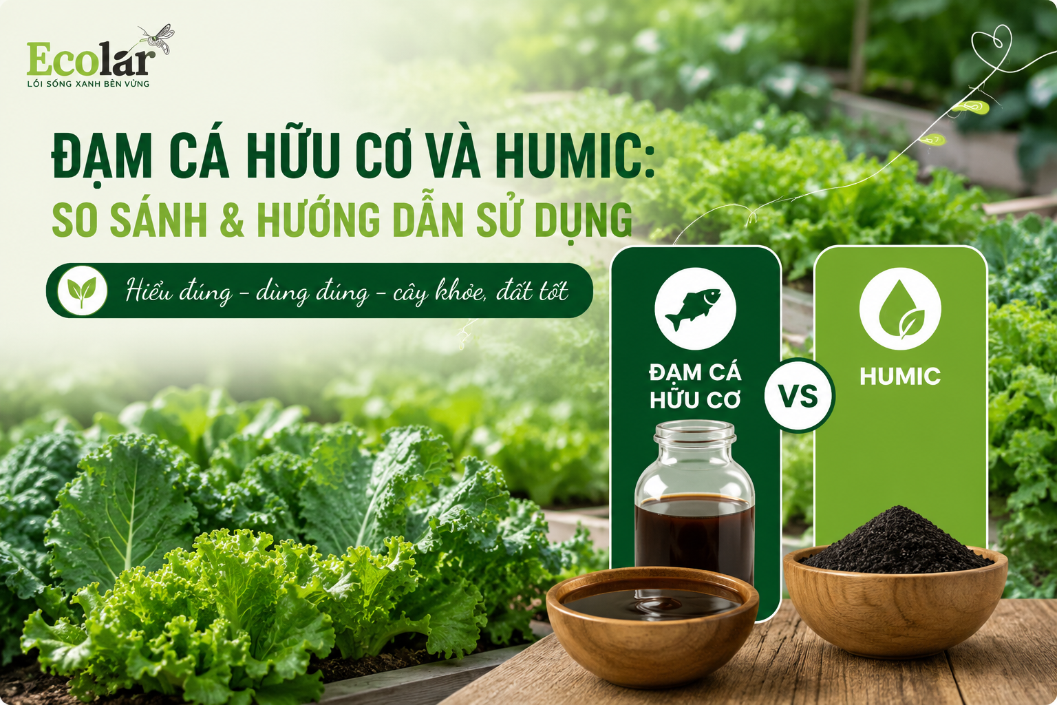 Đạm Cá Hữu Cơ Và Humic: So Sánh & Hướng Dẫn Sử Dụng