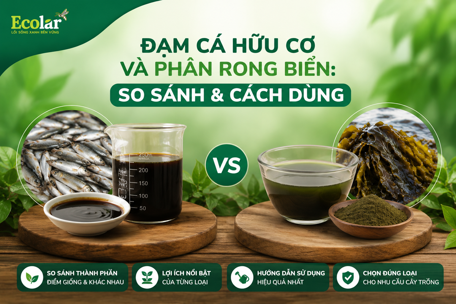 Đạm Cá Hữu Cơ Và Phân Rong Biển: So Sánh & Cách Dùng