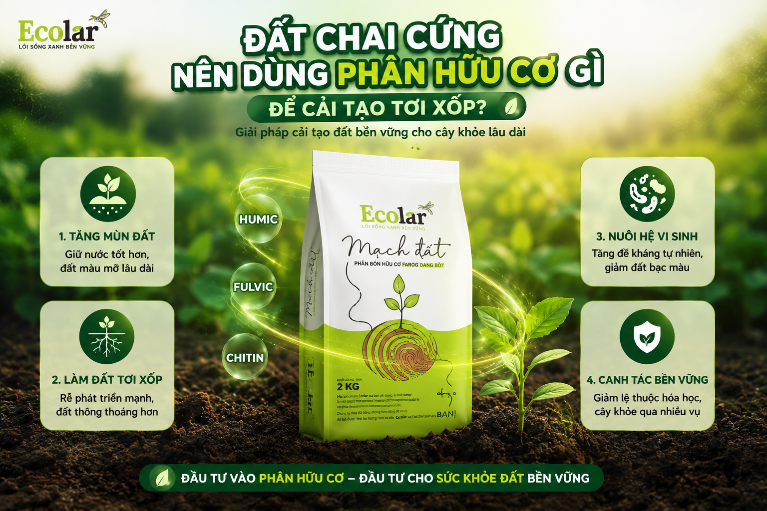 Đất Chai Cứng Nên Dùng Phân Hữu Cơ Gì Để Cải Tạo Tơi Xốp?