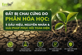 Đất Bị Chai Cứng Do Phân Hóa Học: 5 Dấu Hiệu, Nguyên Nhân & Giải Pháp Phục Hồi Toàn Diện