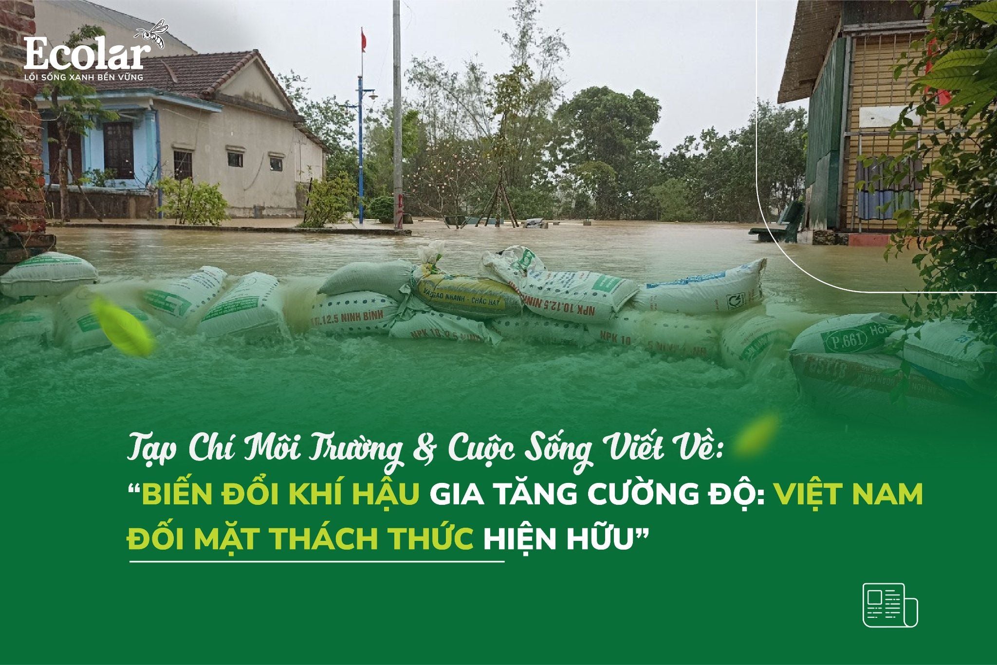 Biến Đổi Khí Hậu Gia Tăng Cường Độ: Việt Nam Đối Mặt Thách Thức Hiện Hữu