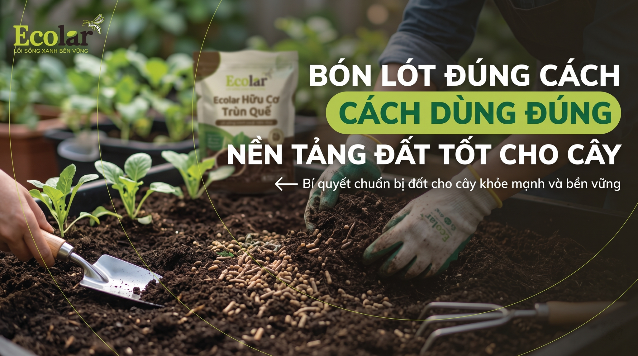 Bón lót bằng phân hữu cơ đúng cách: hướng dẫn thực hành từng bước (tập trung vào kỹ thuật bón lót)