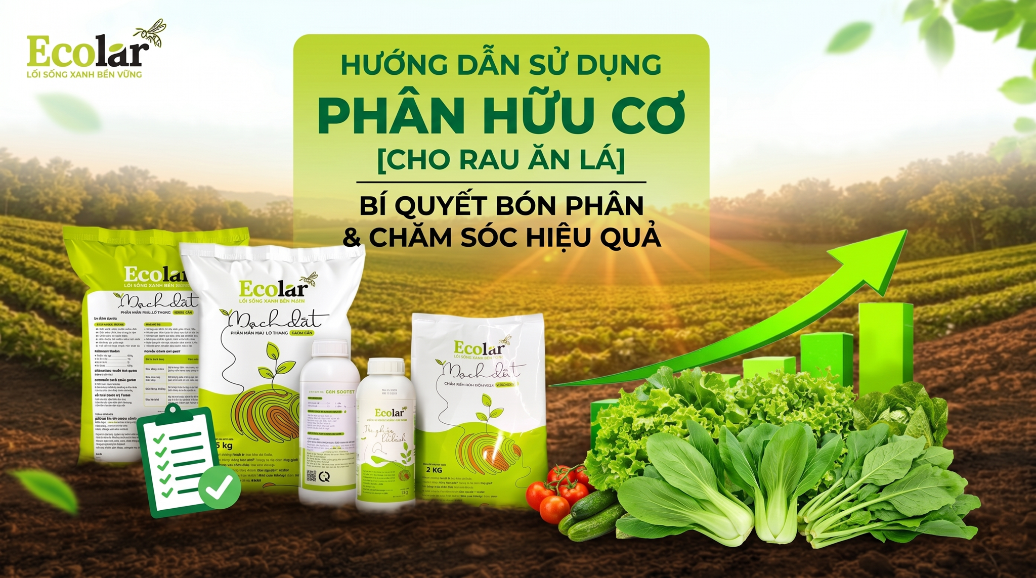 Cách sử dụng phân hữu cơ cho rau ăn lá — hướng dẫn thực tế, an toàn và dễ áp dụng