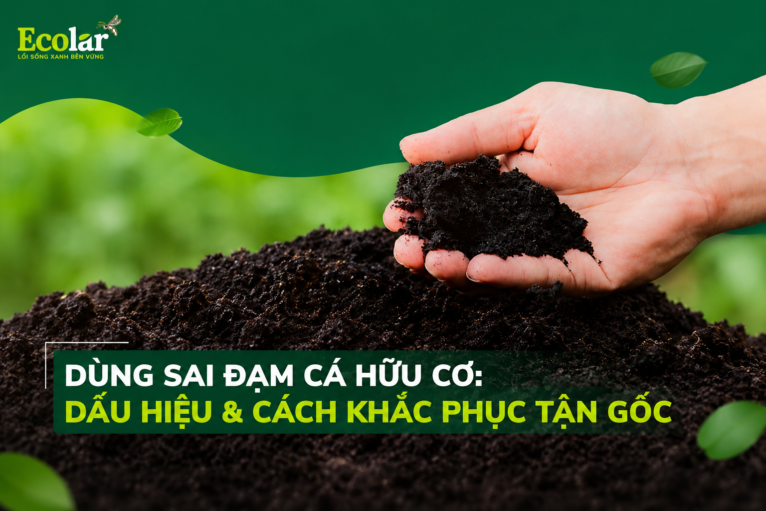 Dùng Sai Đạm Cá Hữu Cơ: Dấu Hiệu & Cách Khắc Phục Tận Gốc