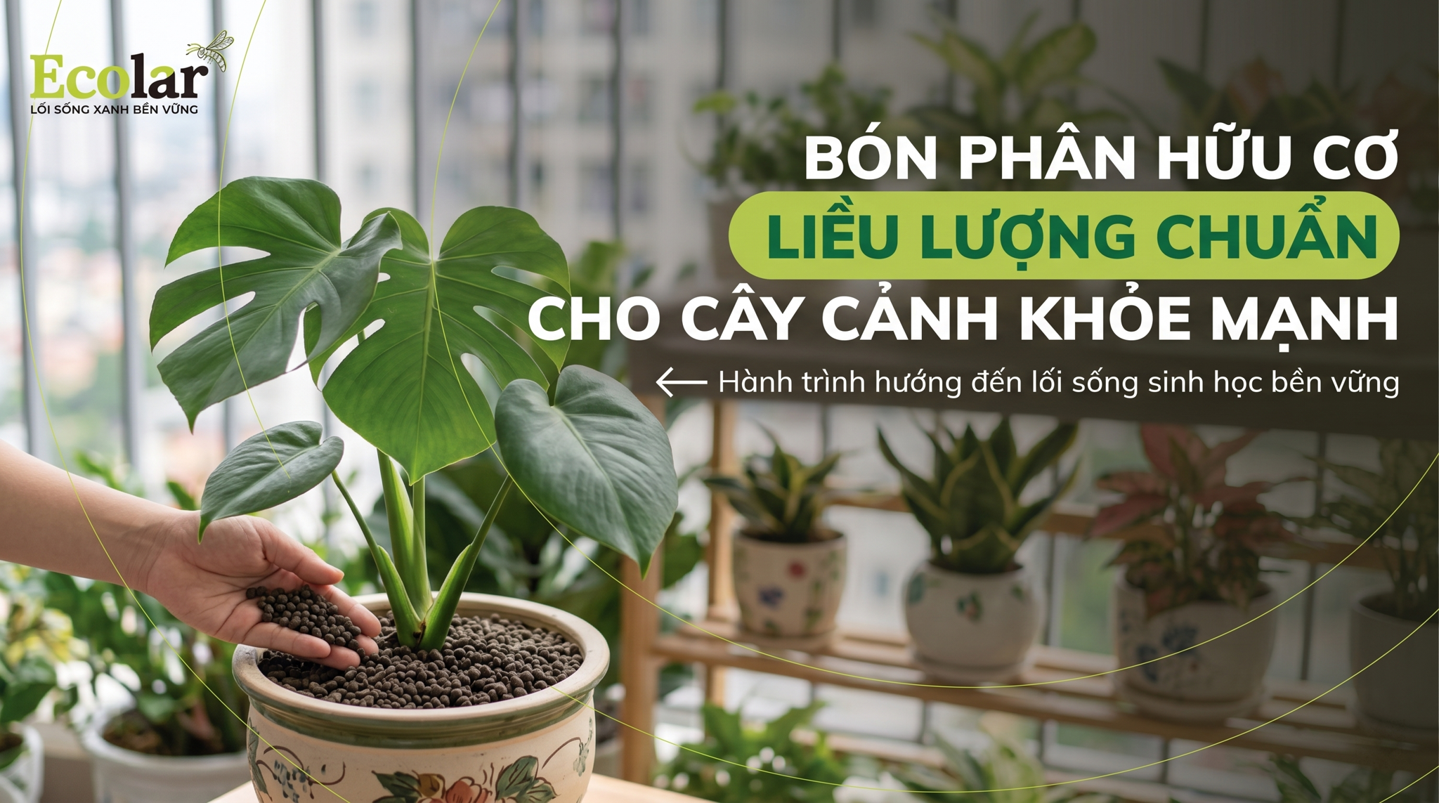Liều Lượng Bón Phân Hữu Cơ Cho Cây Cảnh: Hướng Dẫn Chi Tiết Để Cây Luôn Xanh Tốt
