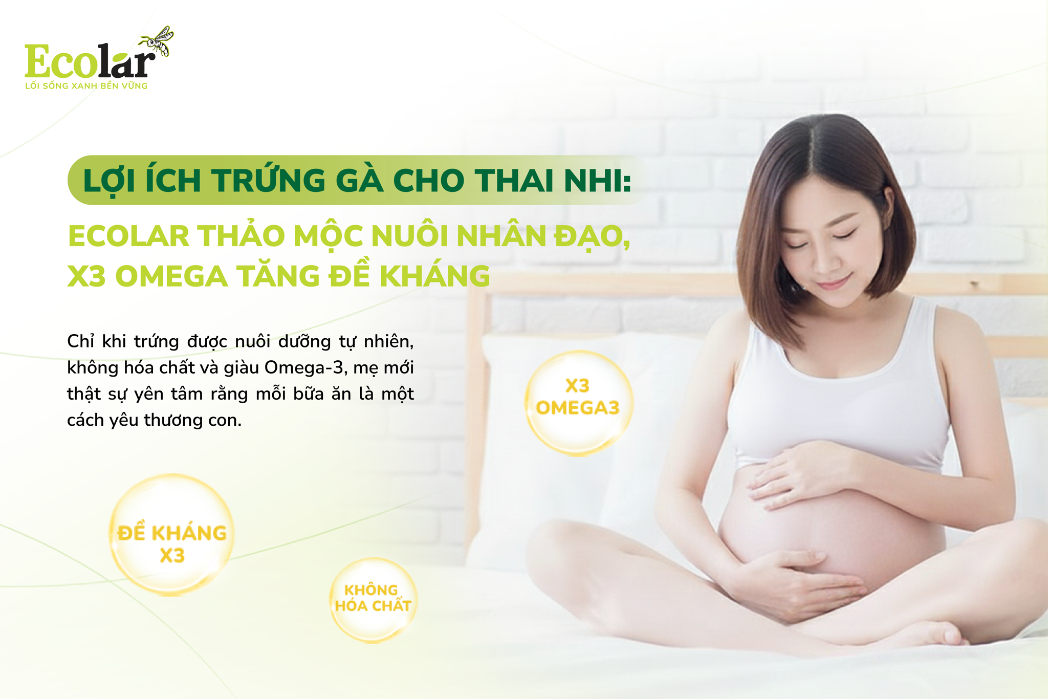 Lợi Ích Trứng Gà Cho Thai Nhi: Ecolar Thảo Mộc Nuôi Nhân Đạo, X3 Omega Tăng Đề Kháng