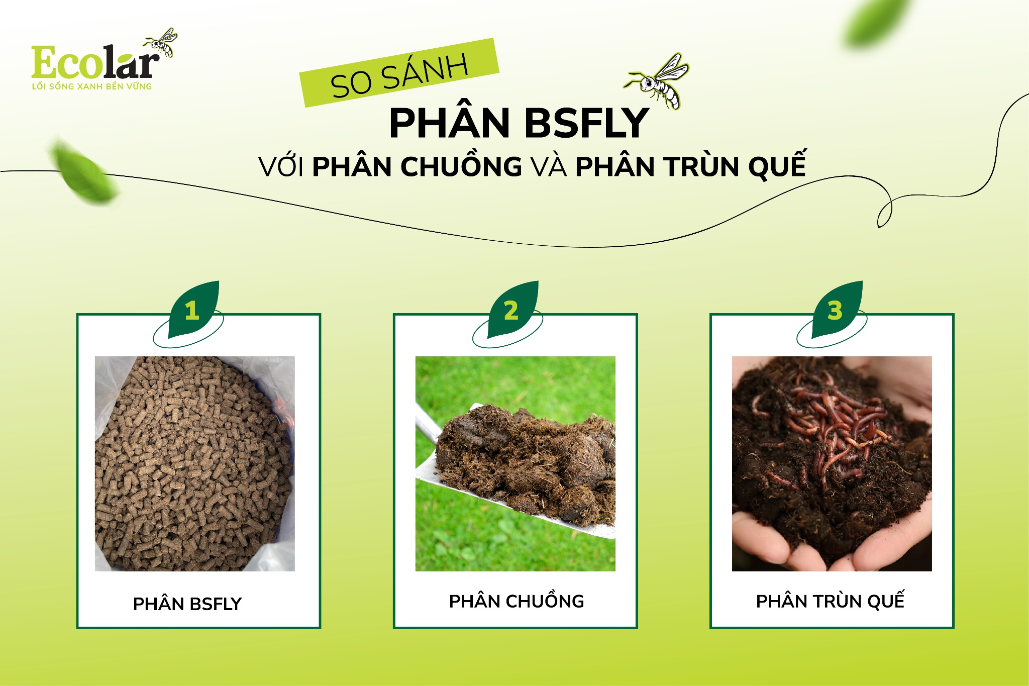 So Sánh Phân BSFly Với Phân Chuồng Và Phân Trùn Quế