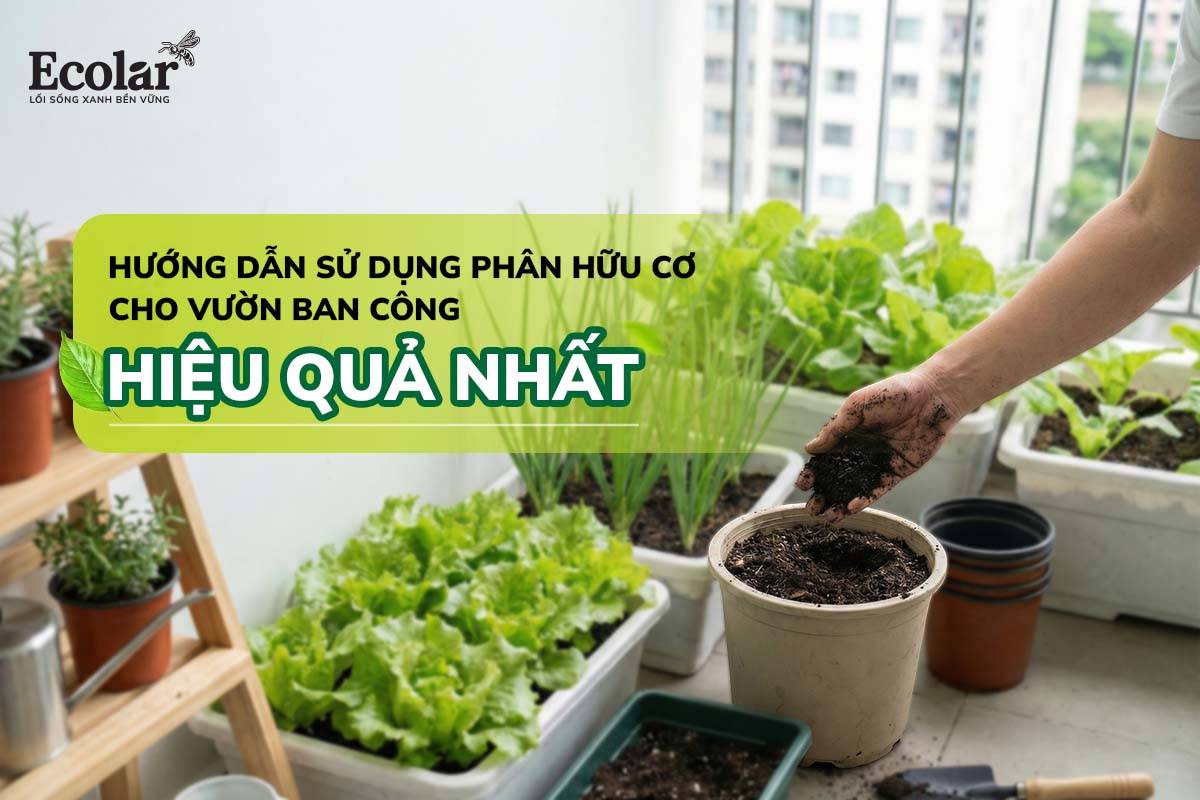 Hướng dẫn sử dụng phân hữu cơ cho vườn ban công hiệu quả nhất