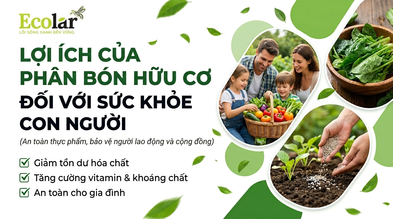 Lợi ích của phân bón hữu cơ đối với sức khỏe con người: An toàn thực phẩm, người lao động và cộng đồng