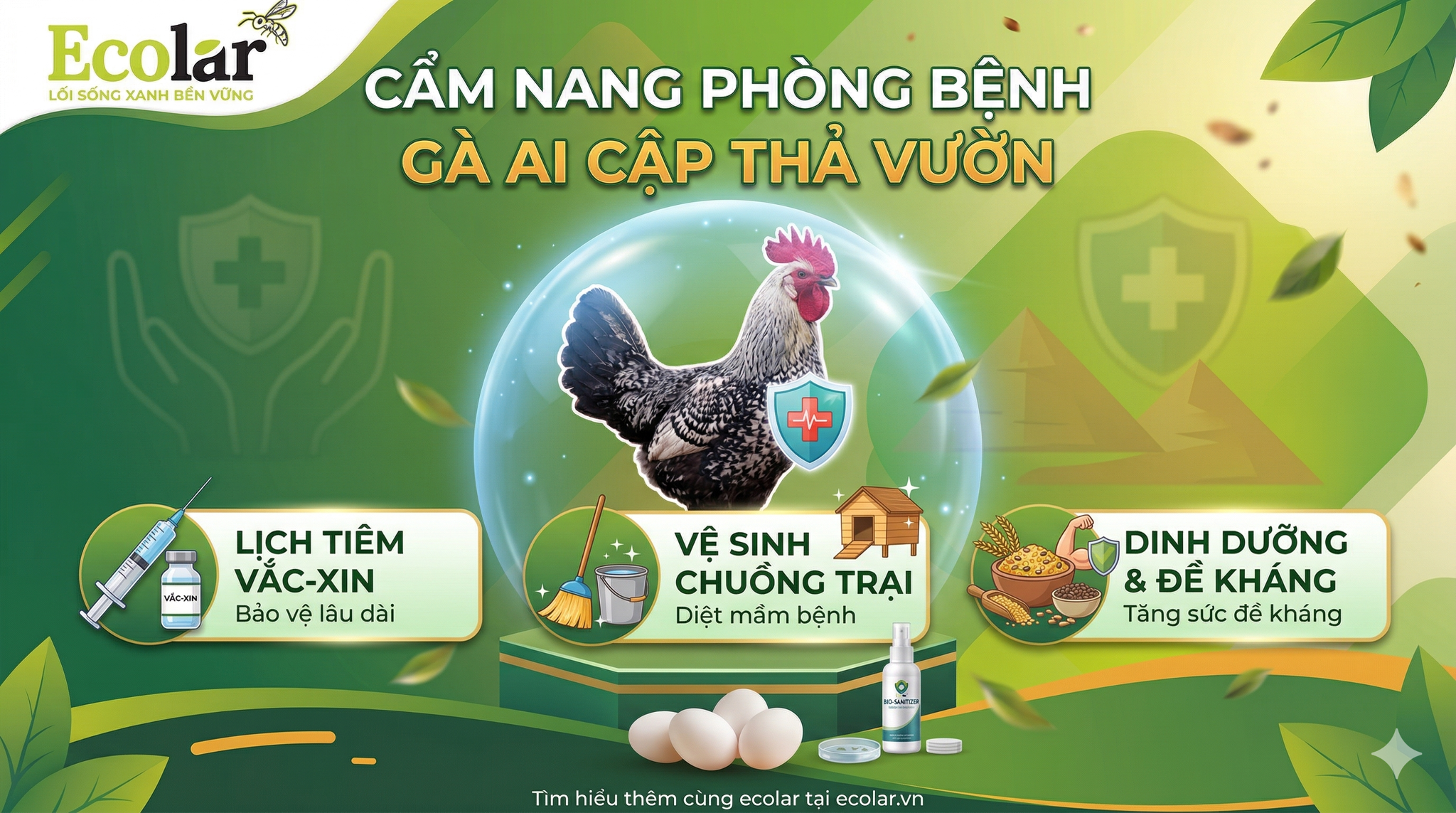 Quy Trình Phòng Bệnh Toàn Diện Khi Nuôi Thả Vườn: Hướng Dẫn Chi Tiết Từ Chuyên Gia