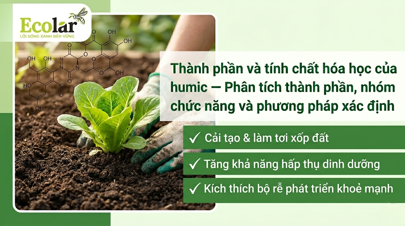 Thành phần và tính chất hóa học của humic — Phân tích thành phần, nhóm chức năng và phương pháp xác định