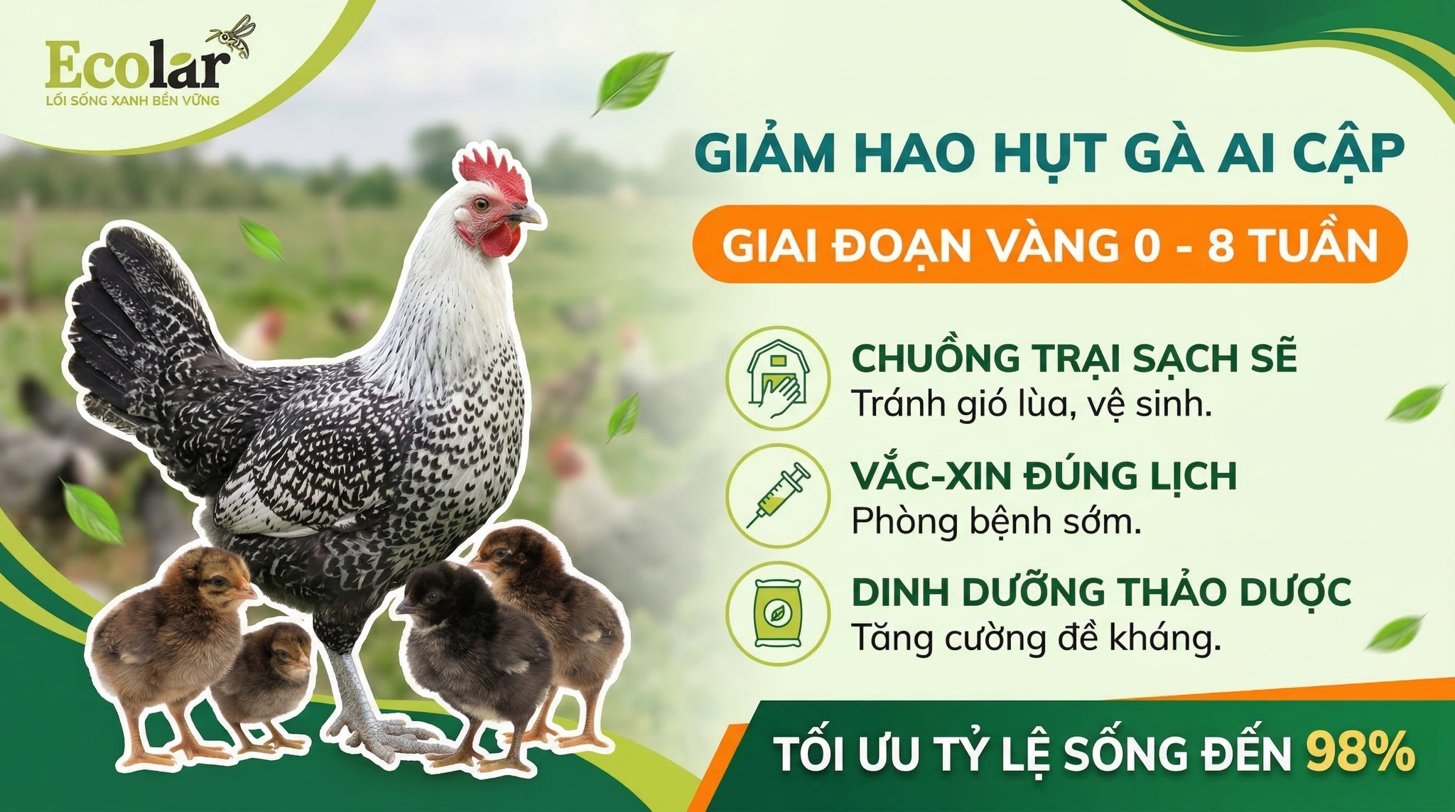 Cách Giảm Hao Hụt Và Tăng Tỷ Lệ Sống: Hướng dẫn thực tế cho người nuôi