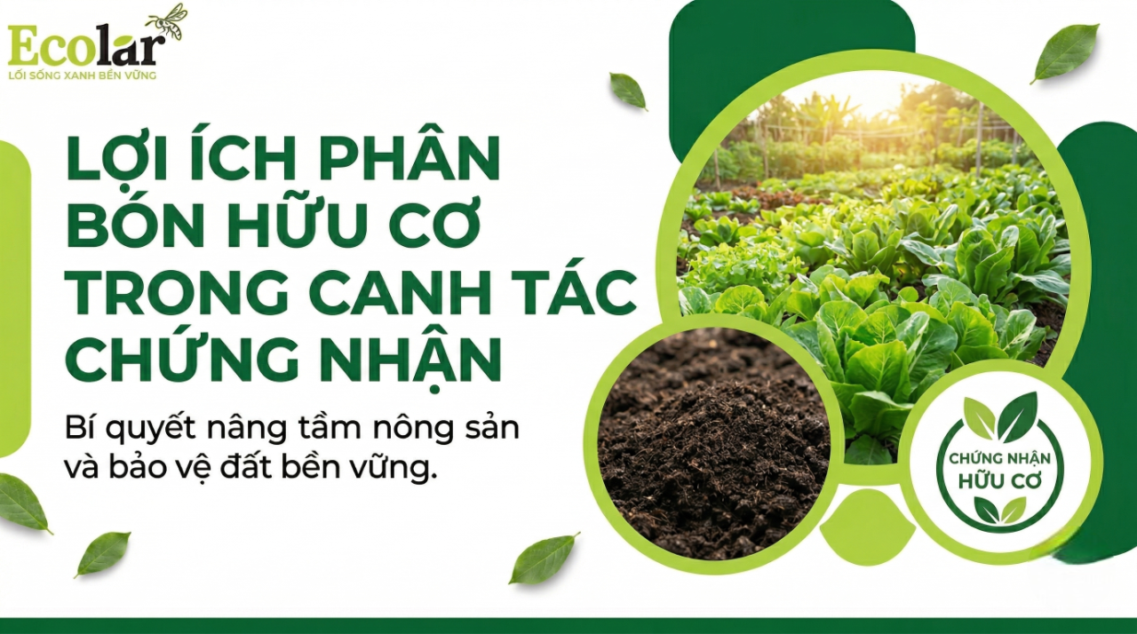 Lợi ích của phân bón hữu cơ trong canh tác hữu cơ: đáp ứng chứng nhận, tiêu chuẩn và thúc đẩy nông nghiệp sạch