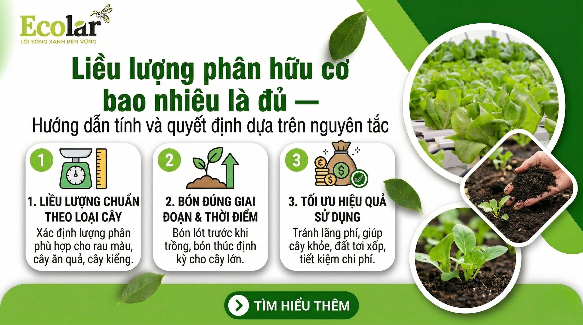 Liều lượng phân hữu cơ bao nhiêu là đủ — Hướng dẫn tính và quyết định dựa trên nguyên tắc