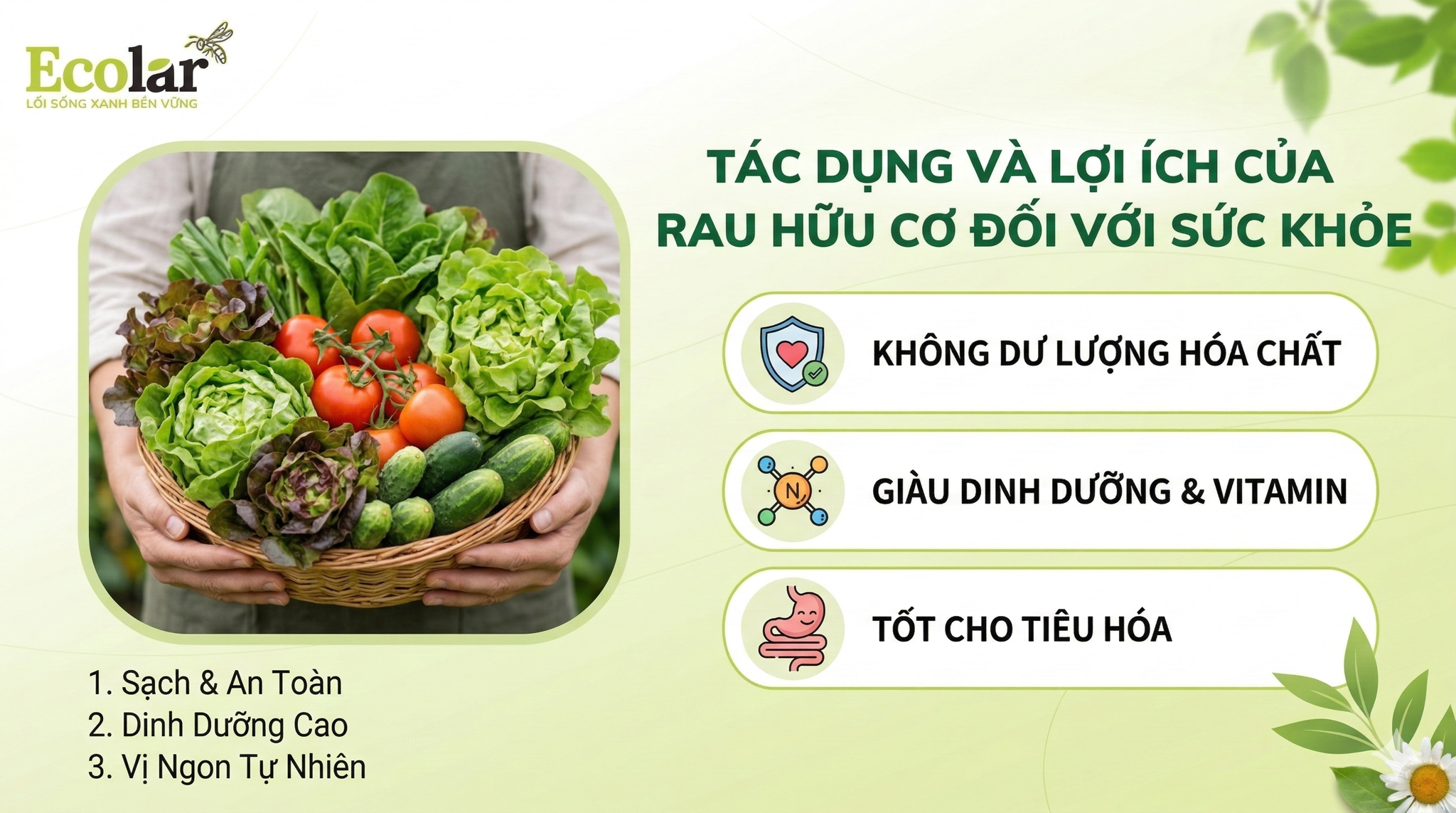Ăn rau hữu cơ có lợi gì? Giải mã 7 lợi ích vàng dưới góc nhìn khoa học