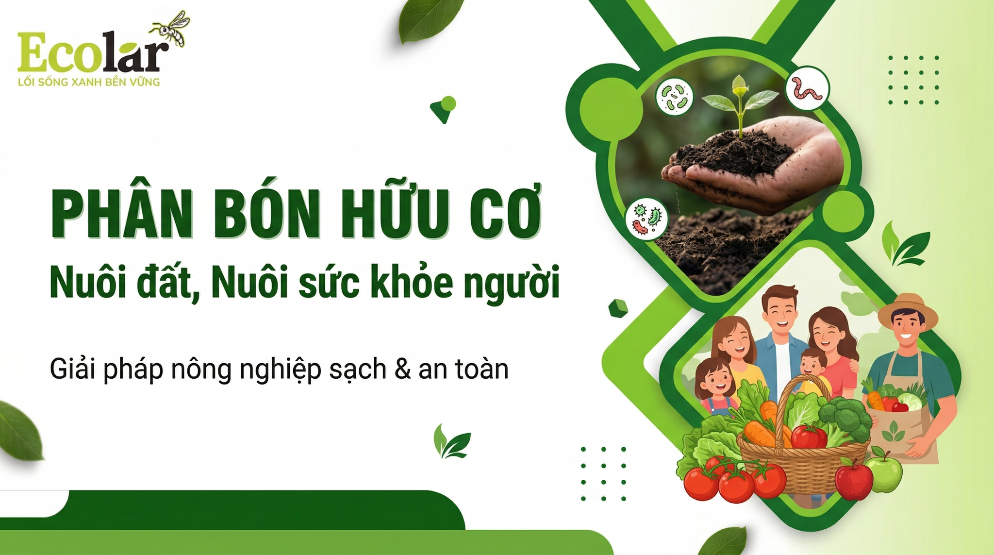Hướng dẫn sử dụng phân bón hữu cơ nuôi dưỡng đất khỏe và bảo vệ sức khỏe gia đình