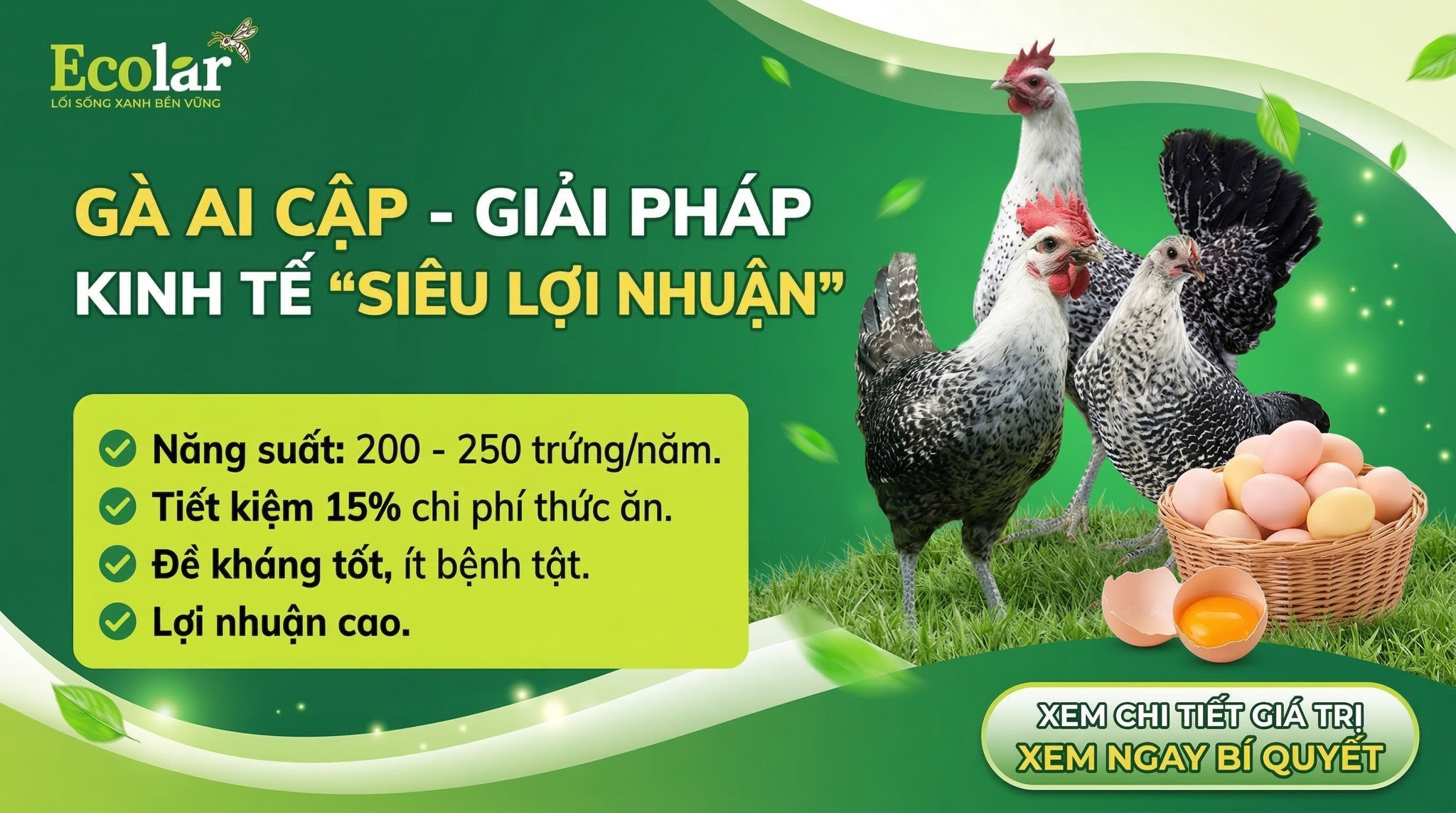 Giá Trị Kinh Tế Và Tiềm Năng Thị Trường Gà Ai Cập (Đánh giá kinh tế & cơ hội thị trường)