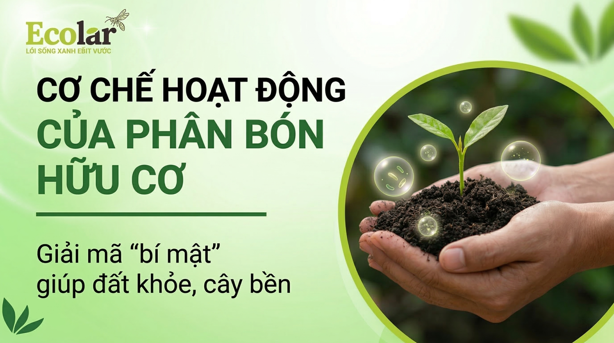 Cơ chế hoạt động của phân bón hữu cơ sinh học trong đất — phân tích cơ chế hóa, sinh, vật lý và chỉ dẫn đo lường