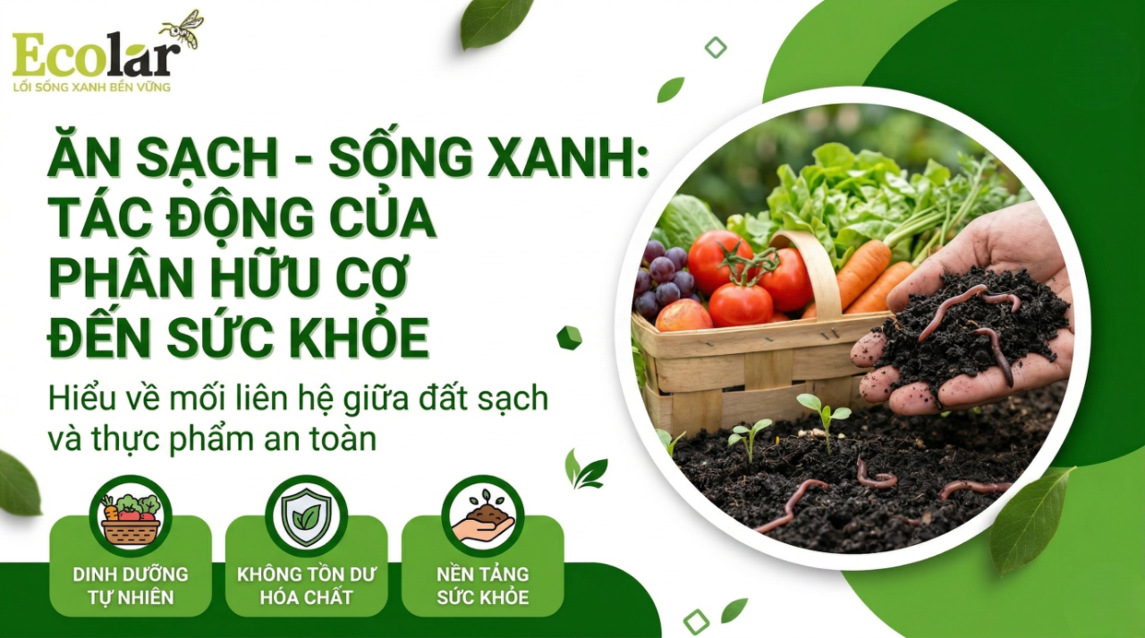 Sự thật về ăn sạch sống xanh: 5 lầm tưởng và góc nhìn thực tế ít ai tiết lộ