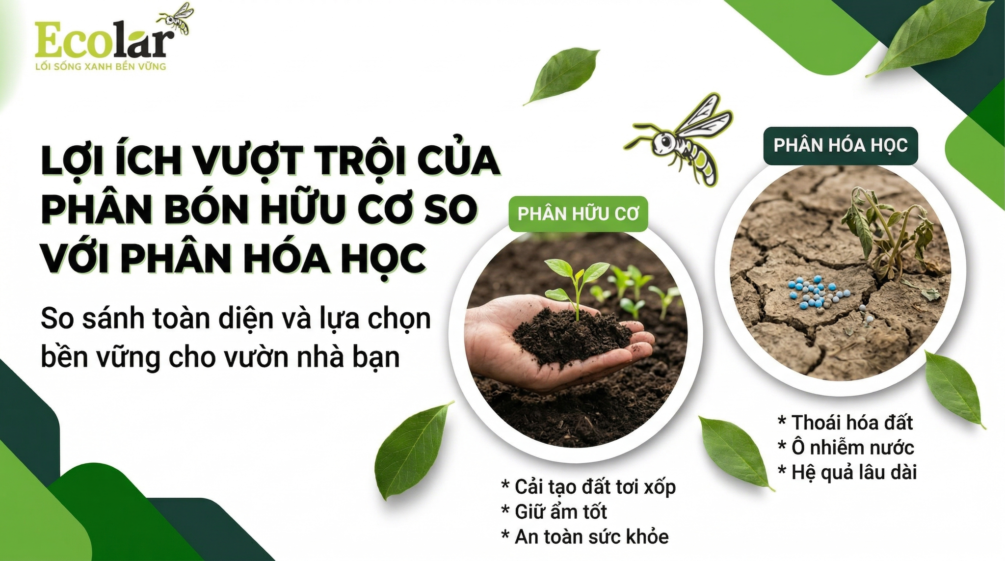 Lợi ích của phân bón hữu cơ so với phân hóa học: 7 lợi thế thực tiễn và kế hoạch hành động 90 ngày