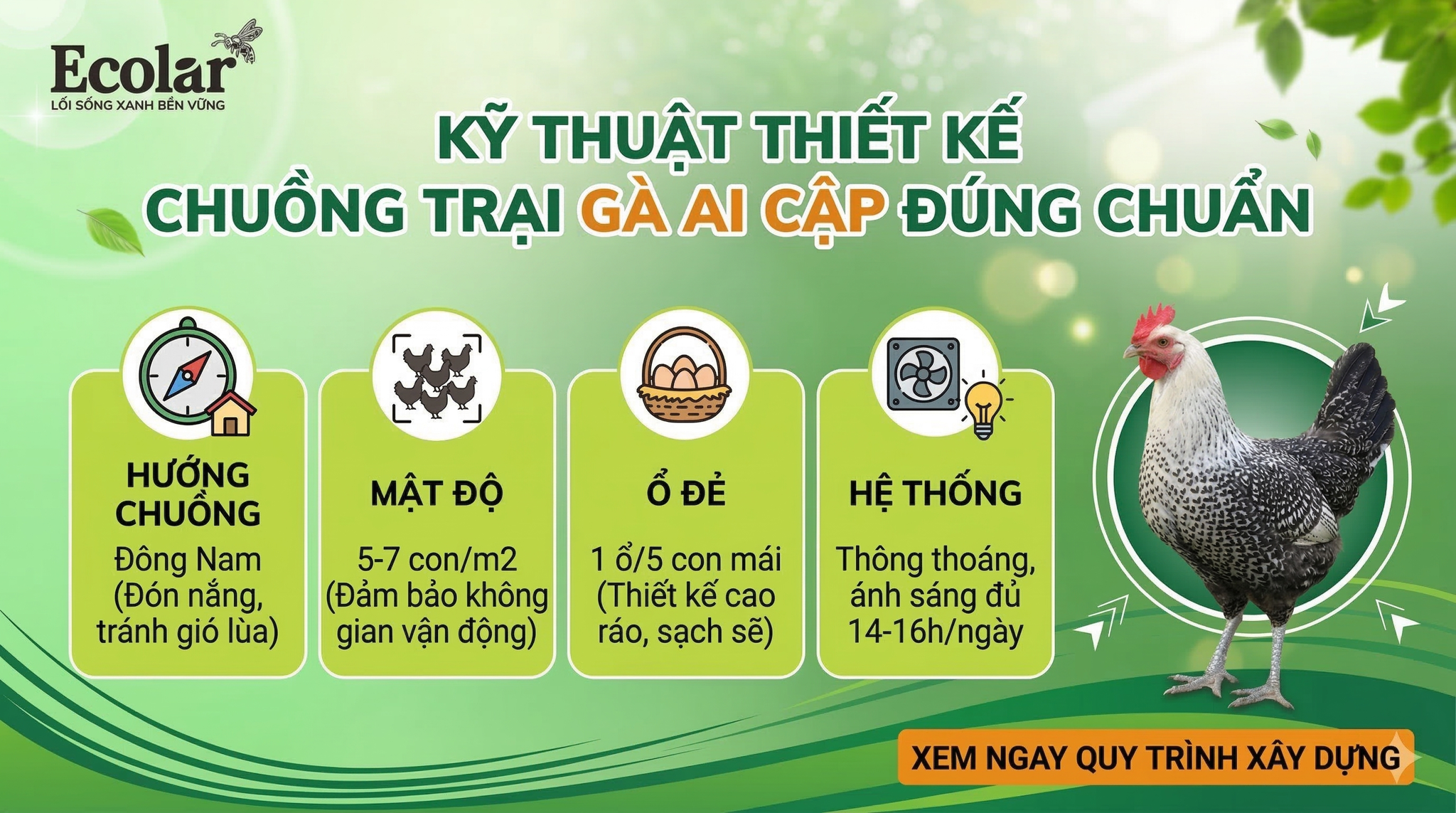 Chuồng Trại Nuôi Gà Ai Cập Đúng Chuẩn: Hướng Dẫn Thiết Kế, Vật Liệu & Quy Trình Vệ Sinh (Tập Trung Vào Chuồng Trại)