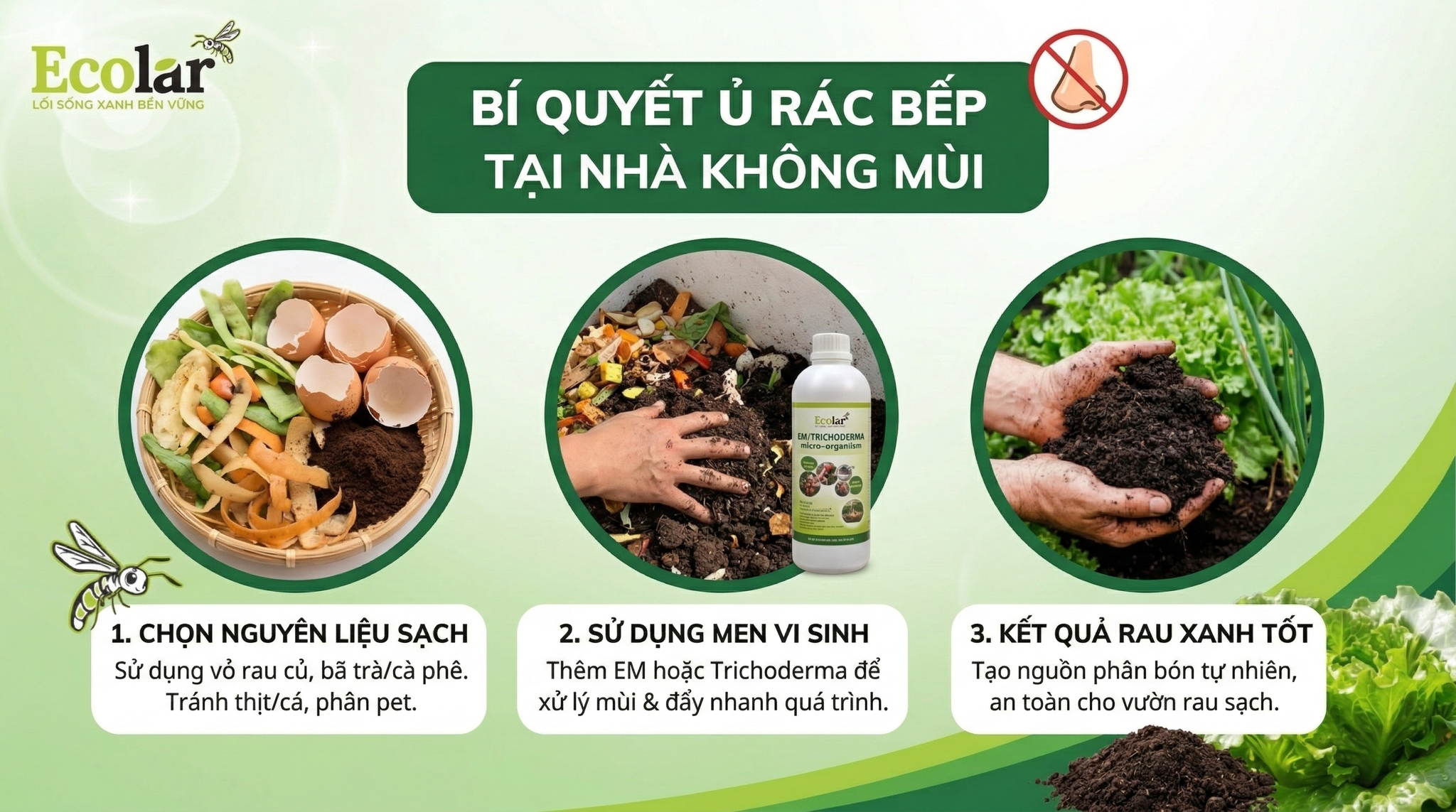 Phân hữu cơ cho nhà phố: Giải pháp không mùi cho không gian đô thị hẹp