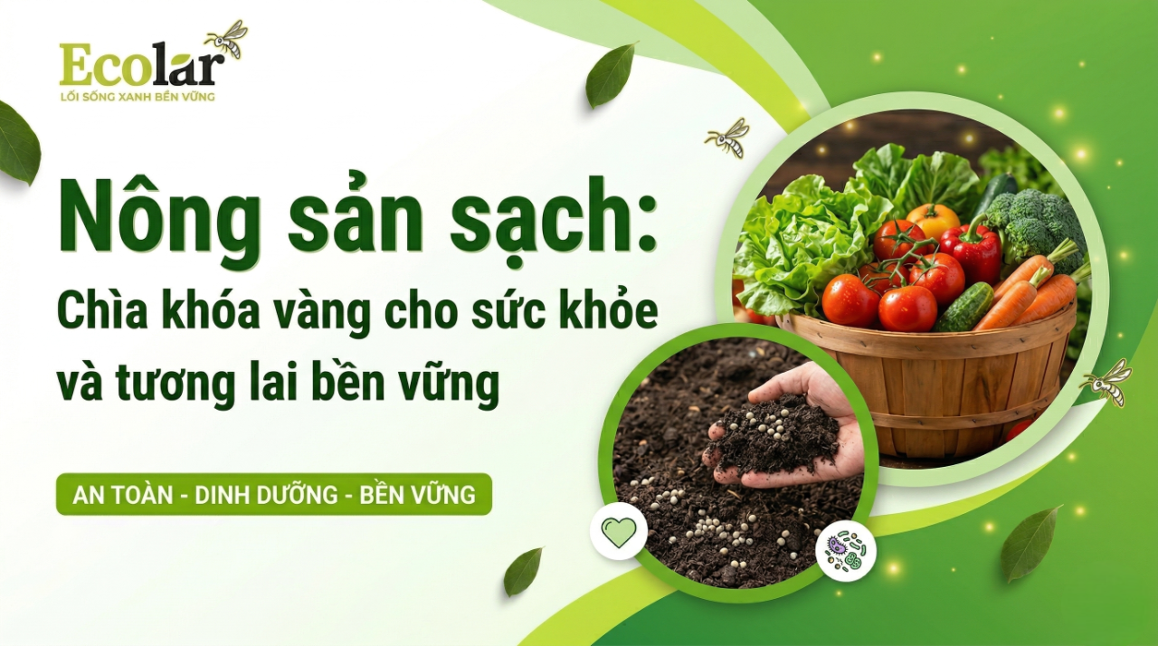 Nông sản sạch: Chìa khóa vàng cho sức khỏe và tương lai bền vững