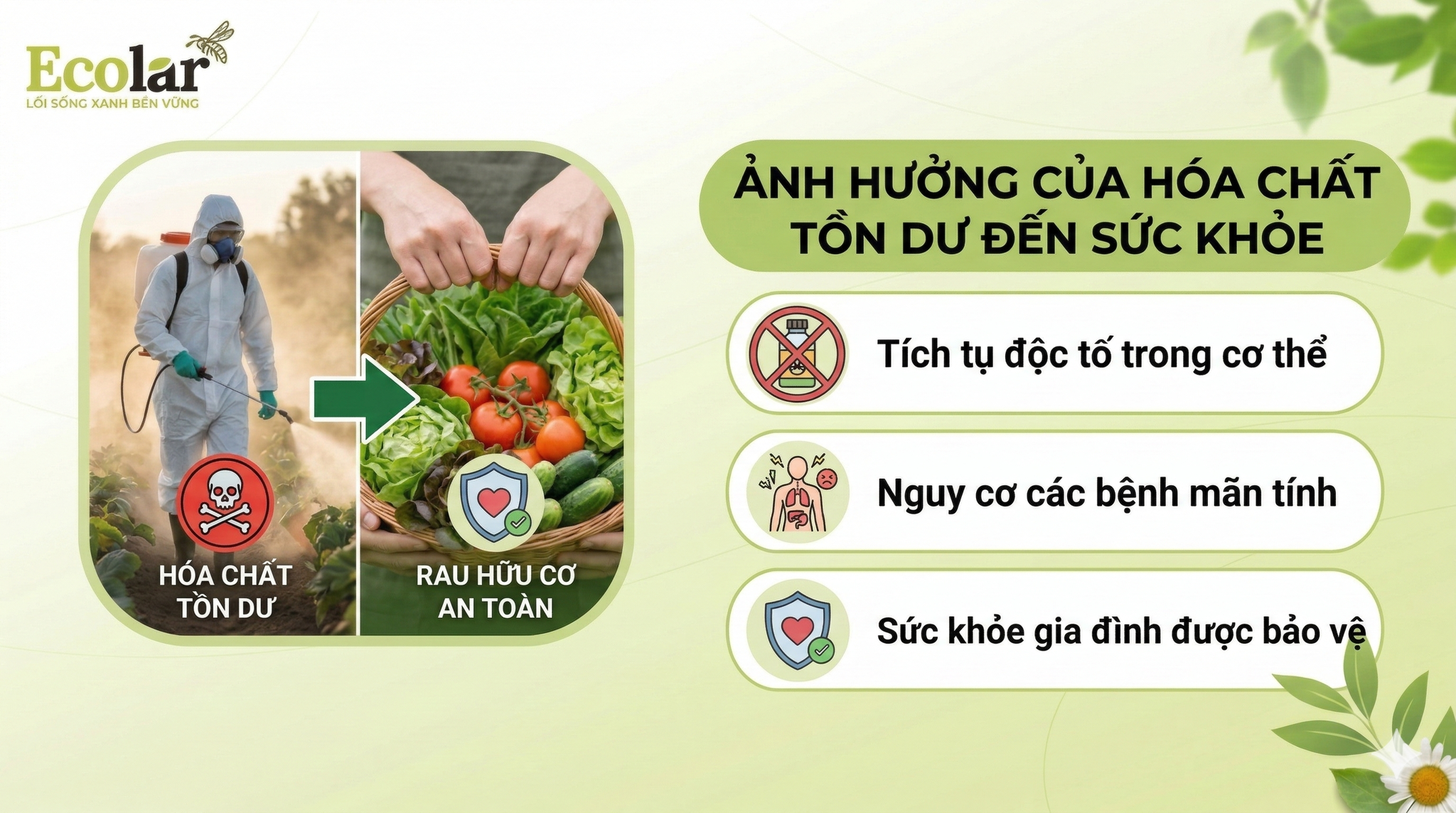 Ảnh hưởng hóa chất tồn dư trong thực phẩm: Thực trạng và Giải pháp