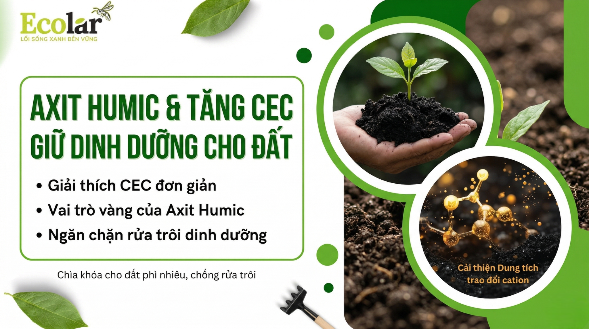 Humic và khả năng tăng CEC để giữ dinh dưỡng: Cơ chế, bằng chứng và cách đo chính xác