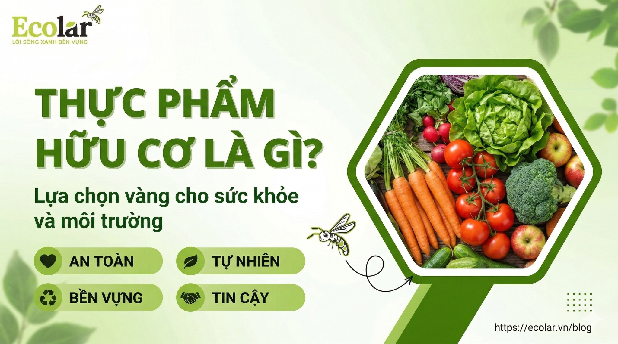 Thực phẩm hữu cơ là gì? Cẩm nang toàn diện về dinh dưỡng và tiêu chuẩn sạch