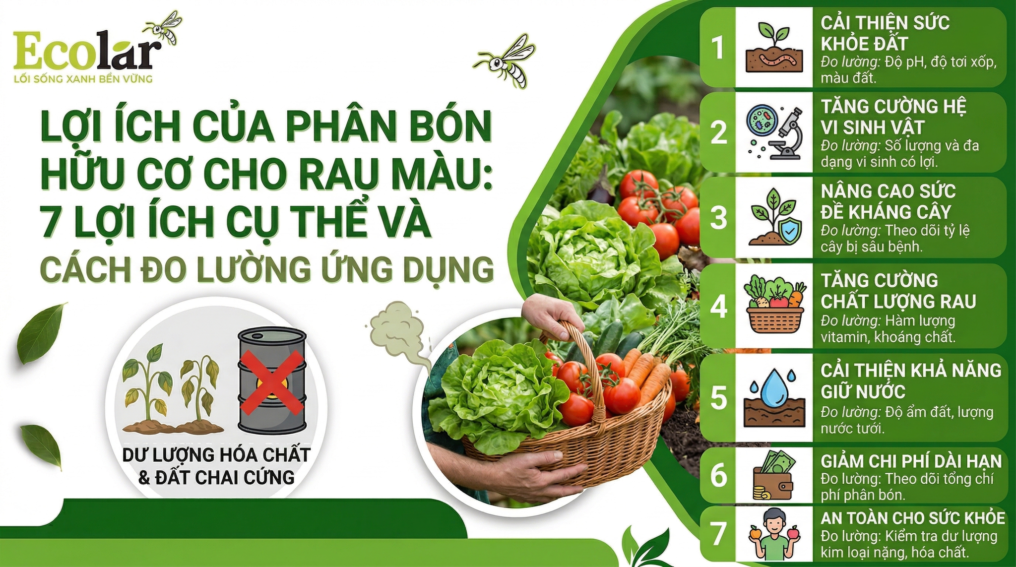 Lợi ích của phân bón hữu cơ cho rau màu: 7 lợi ích cụ thể và cách đo lường ứng dụng