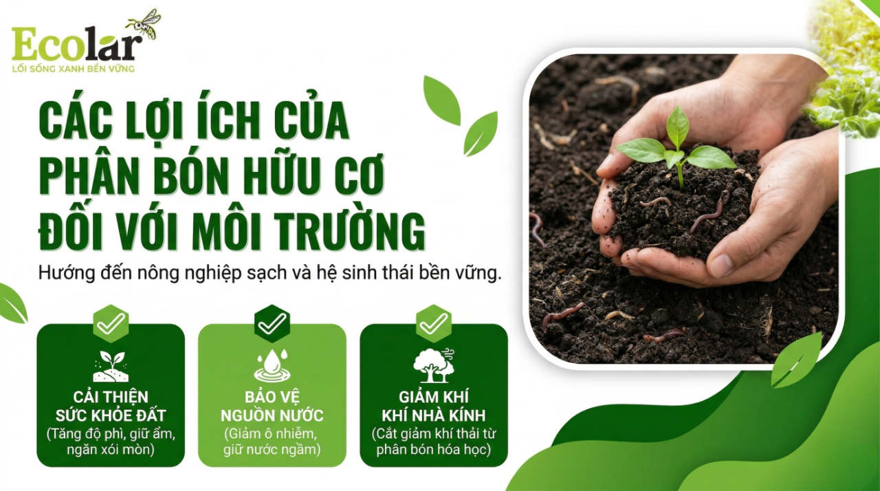 Lợi ích của phân bón hữu cơ đối với môi trường — 8 lợi ích thực tế và cách đo lường