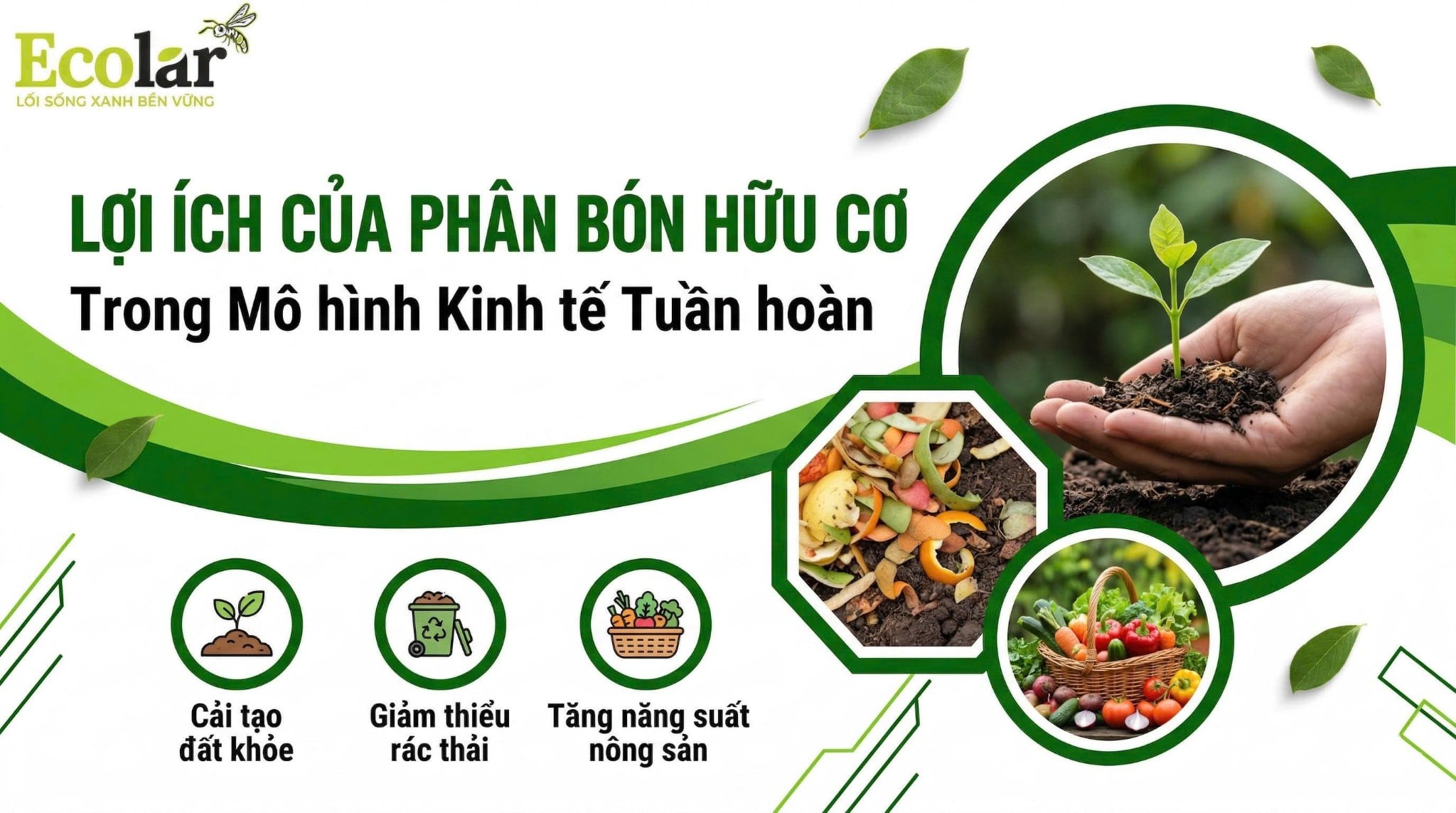 Lợi ích của phân bón hữu cơ trong kinh tế tuần hoàn: Tái chế phụ phẩm, giảm rác thải và tiết kiệm tài nguyên