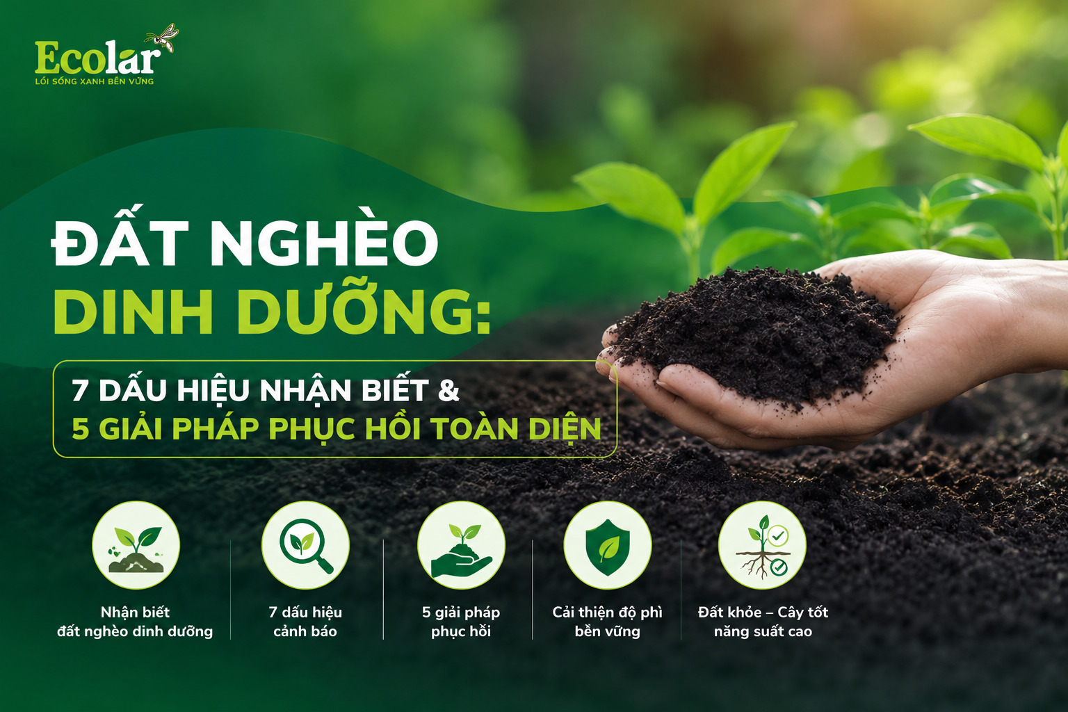 Đất Nghèo Dinh Dưỡng: 7 Dấu Hiệu Nhận Biết & 5 Giải Pháp Phục Hồi Toàn Diện