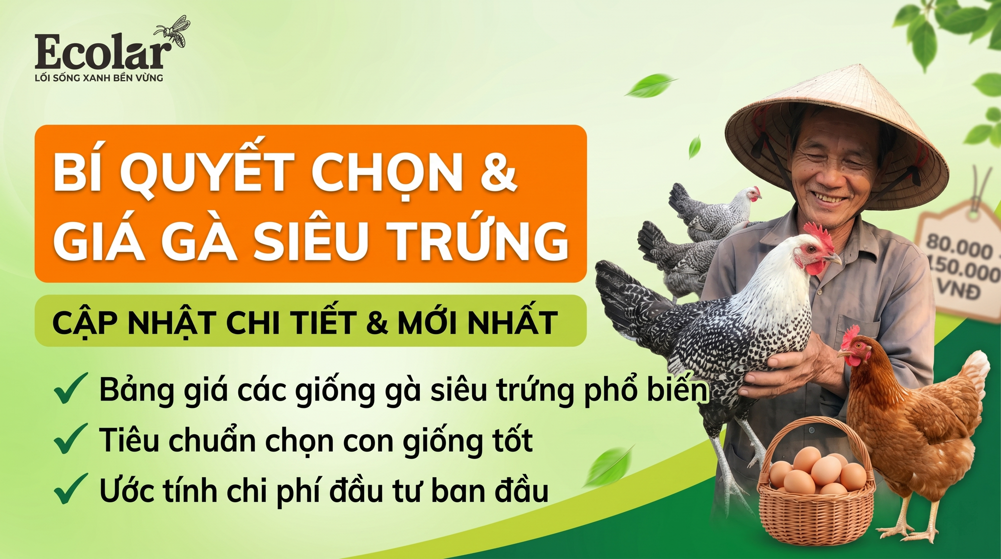 Giá Gà Siêu Trứng Giống Bao Nhiêu? Cập Nhật Theo Từng Giai Đoạn Nuôi