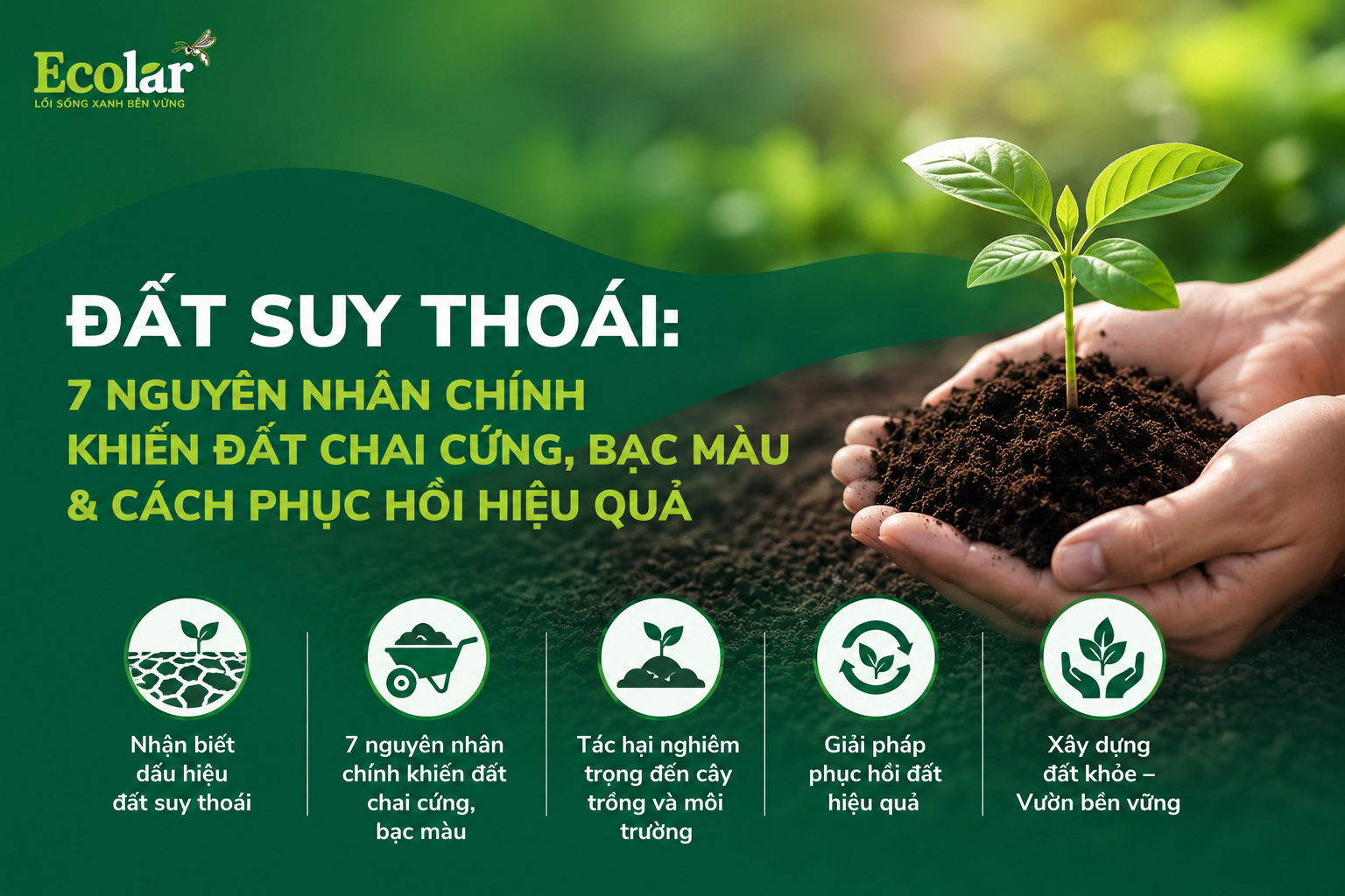 Đất Suy Thoái: 7 Nguyên Nhân Chính Khiến Đất Chai Cứng, Bạc Màu & Cách Phục Hồi Hiệu Quả