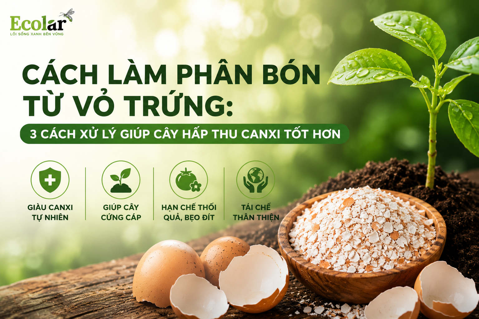 Cách Làm Phân Bón Từ Vỏ Trứng: 3 Cách Xử Lý Giúp Cây Hấp Thu Canxi Tốt Hơn