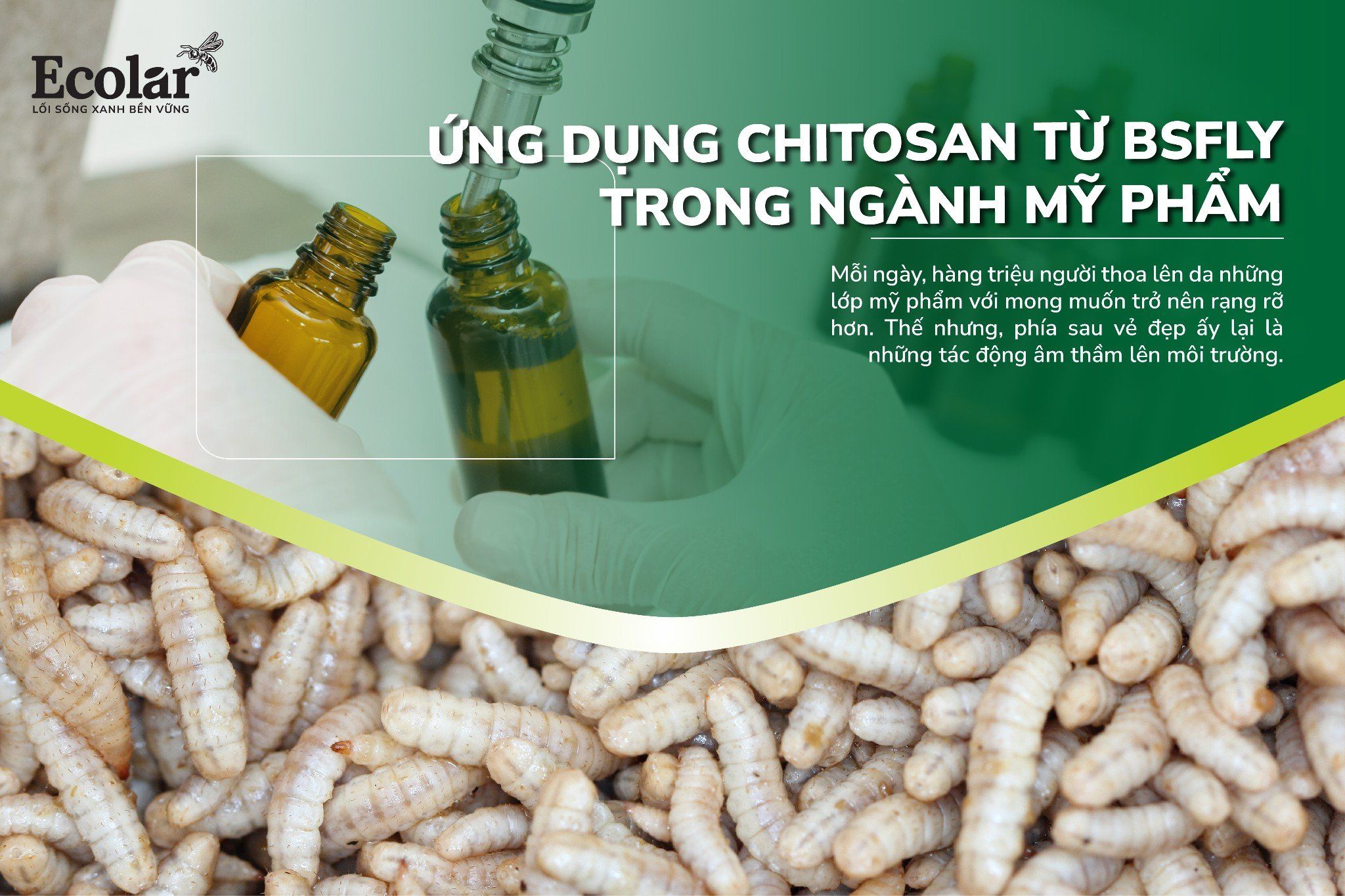 Ứng Dụng Chitosan Từ BSFly Trong Ngành Mỹ Phẩm